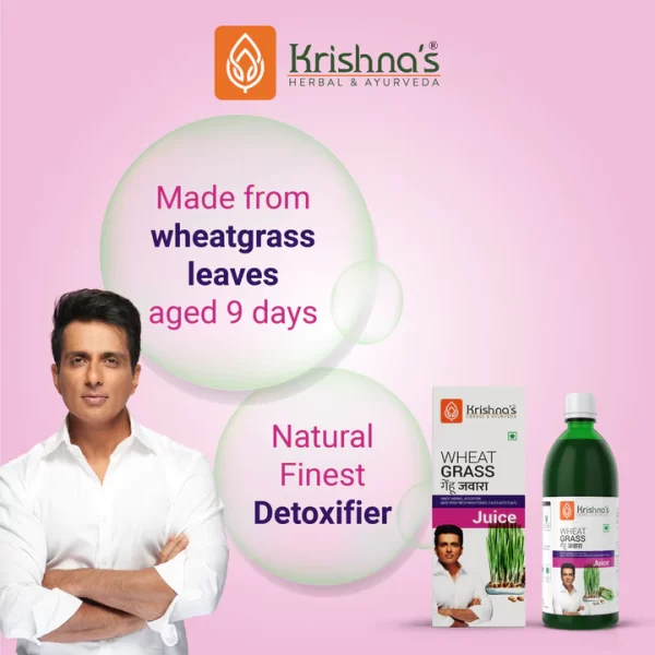 Wheatgrass Juice - Image 3